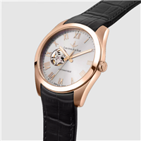Watch Lucien Rochat Man in Steel R0421114002 - R0421114002